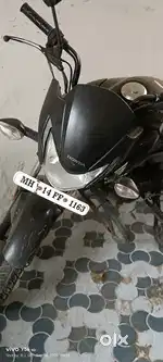 Honda livo