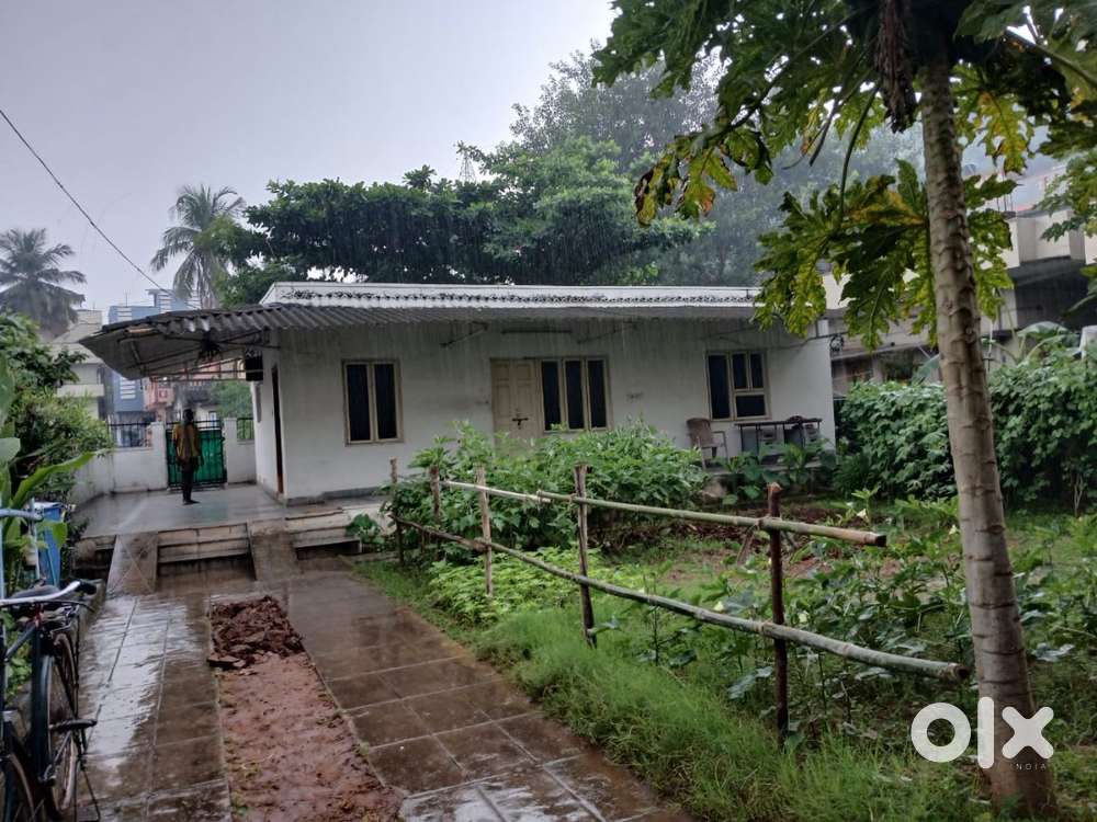 house with garden in 400 sqyards plot for rent to shops/offices/godown