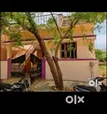 Individual House for Lease