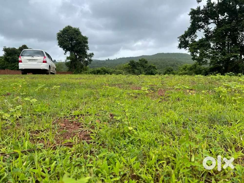 Budget Plots at 199Rs Near Mumbai