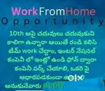 Part-time Full-time