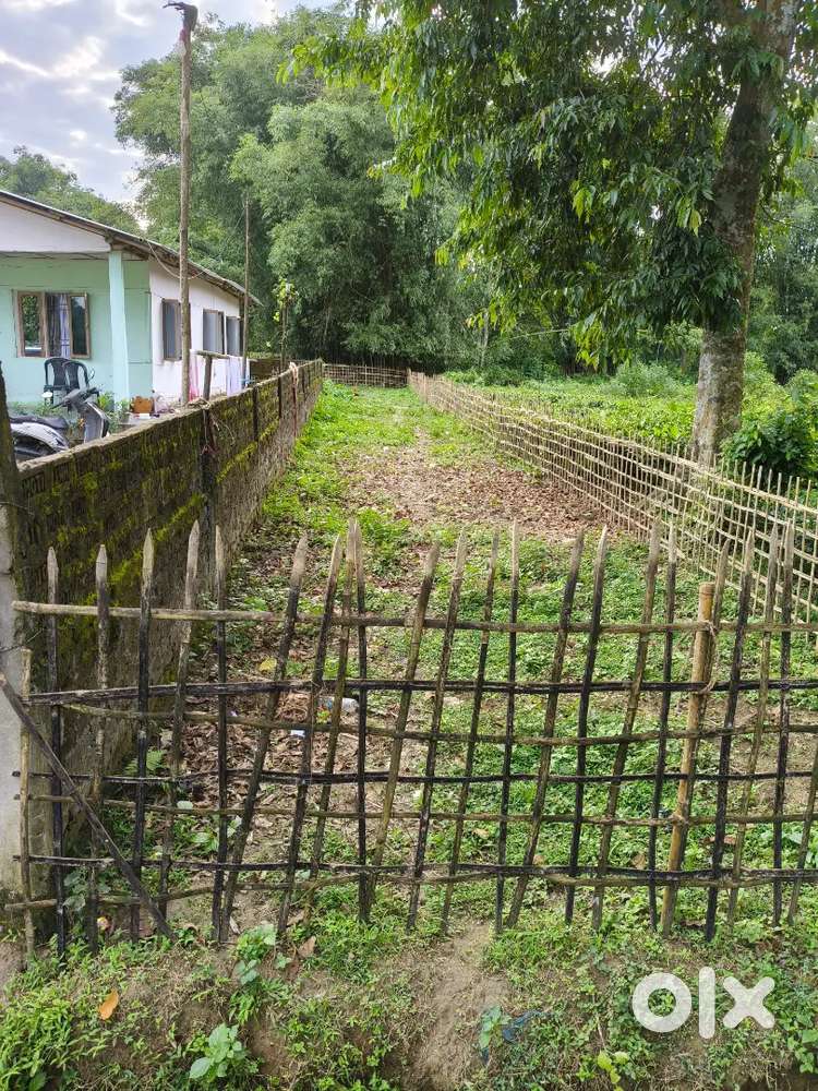 2 katha land for urgent sale near bokpara bypass about to 1 km