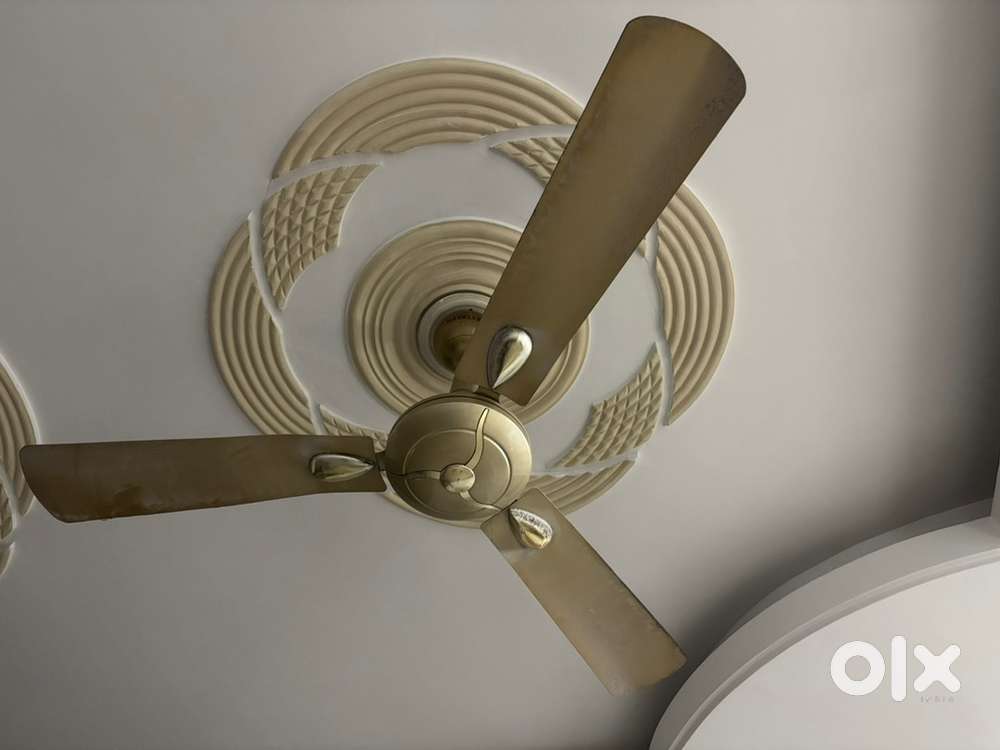 Havells Fan