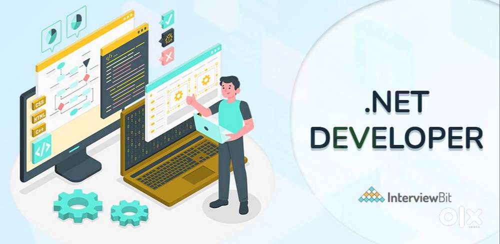 We are looking for a freelance developer