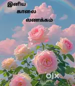 Ashoke leyland