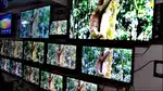 09' To 85' All Types FHD, 4K, QLED, UHD, LED-TV Special Discount Offer