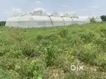 10 acres farm land