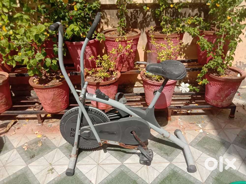Stationary Exercise Cycle
