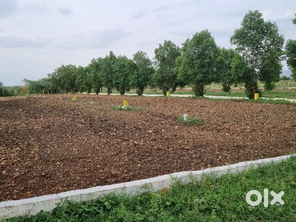 AMARAVATHI BUDGET PLOTS