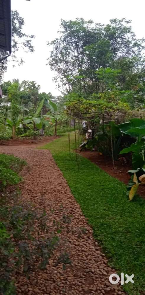 30 cent land for sale