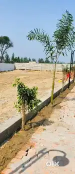 अहमामऊ से मात्र 8km की दूरी पर प्लॉट खरीदे खुरदही बाजार के निकट
