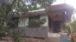 വീട്  ഒറ്റിക്ക് House for Rent & lease ,for sale.Vazhayila, Tvpm