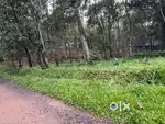 വീട് വെക്കാൻ അനുയോജ്യം ആയ സ്ഥലം വിലപ്പനക്ക്