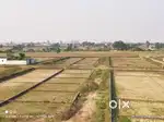 Residential plot near Nalanda University