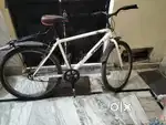 The Best cycle