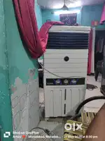 Best cooler