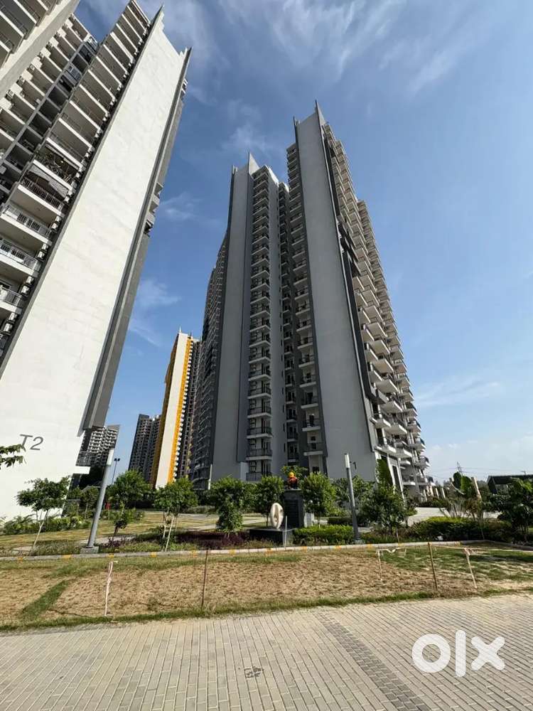 Properties TeleCollor