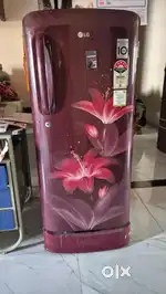 LG 5star fridge 190 ltr and tv
