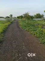 Royal Real estate solapur