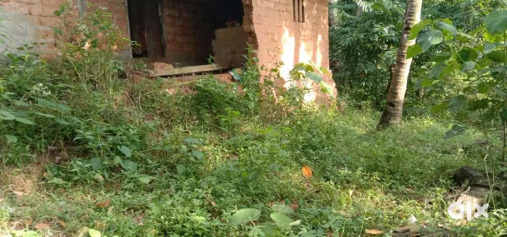 4.5 സെന്റ്