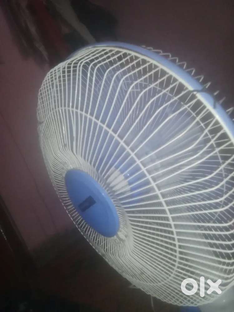 Oriental Table fan