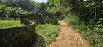 Thadiyoor Vennikulam Road Pallipadi 500 Mtr 10 Cent House Plot.