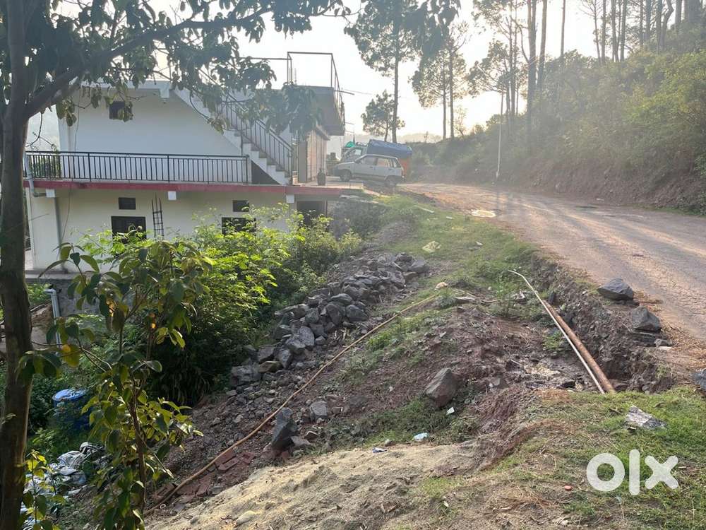 5 Biswa land on Main road