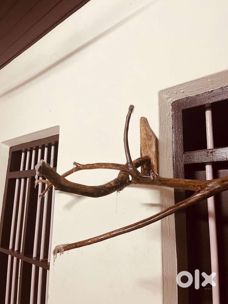 Hand made wooden cloth hanger