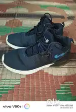 Campus Shoes