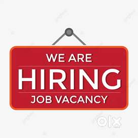 Freshers apply fast male female both are welcome