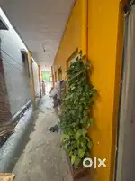 Excelent property for purchase