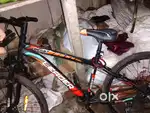 Leader cycle