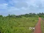 Plain Red-Stone Land for Sale – Koliyoor Vorkady, Manjeshwar