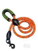 dog rope leash