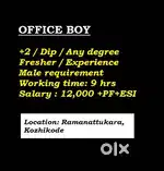 Office Staff - Ramanattukara