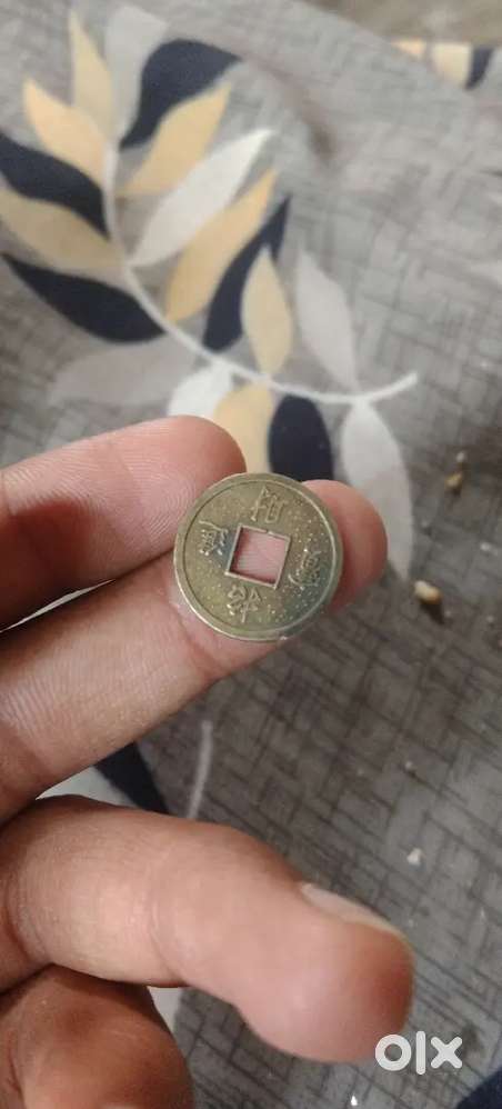 बाओ गु तोंगबाओ