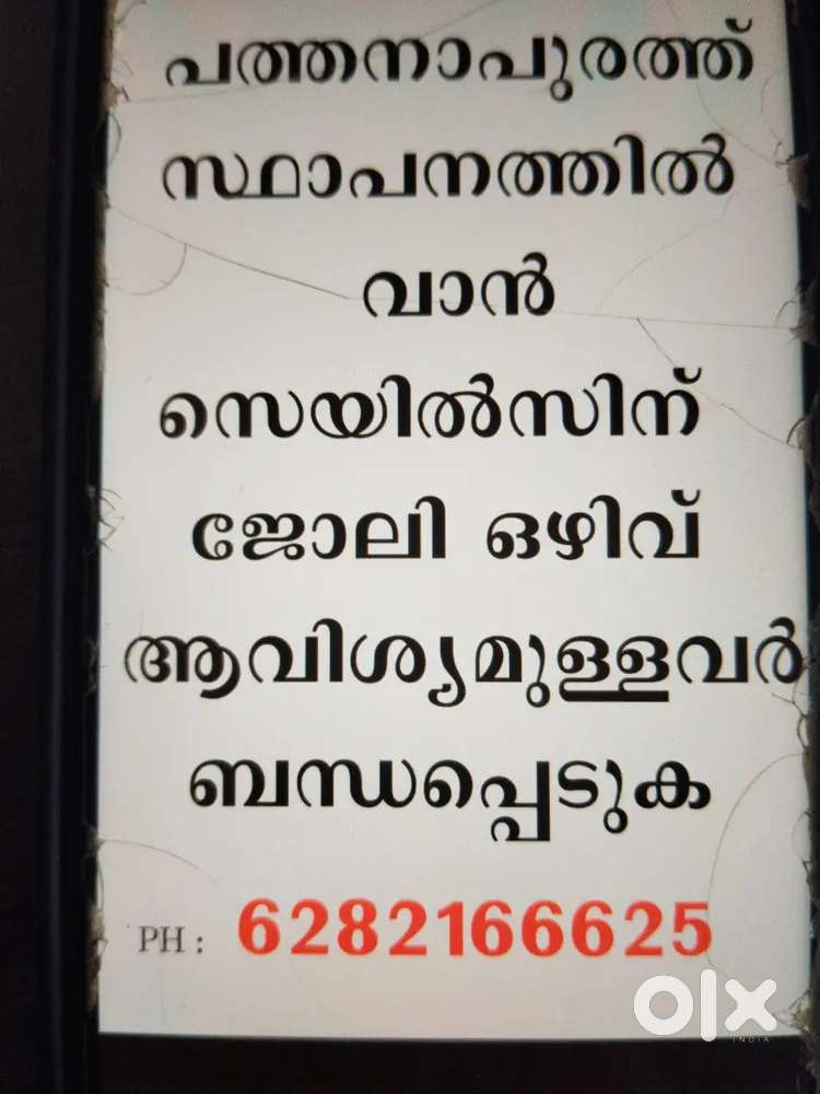 വാൻ സെയിൽസ്