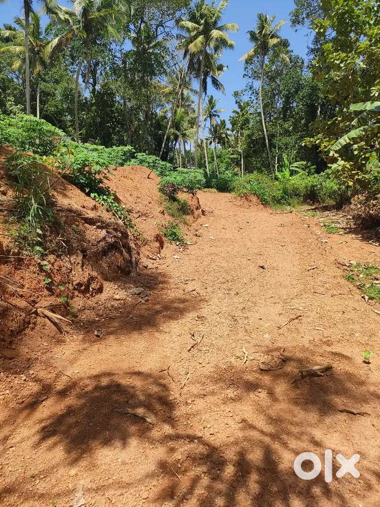 25 cent unique level plot with direct road access.