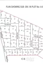 Orchid plot for sale