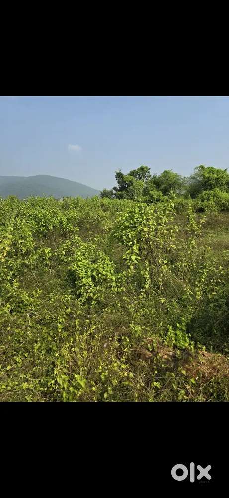 Dakhina kali plot for sale near iskon dakhinakali ,dhenkanal