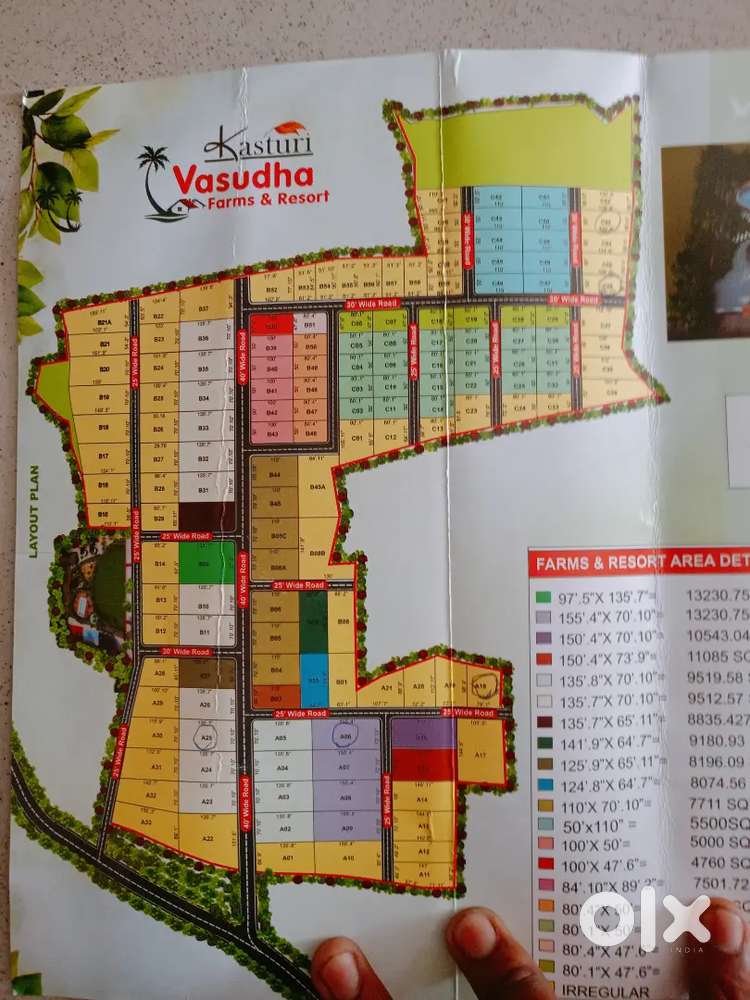 Golkhedi Beraisiya rod