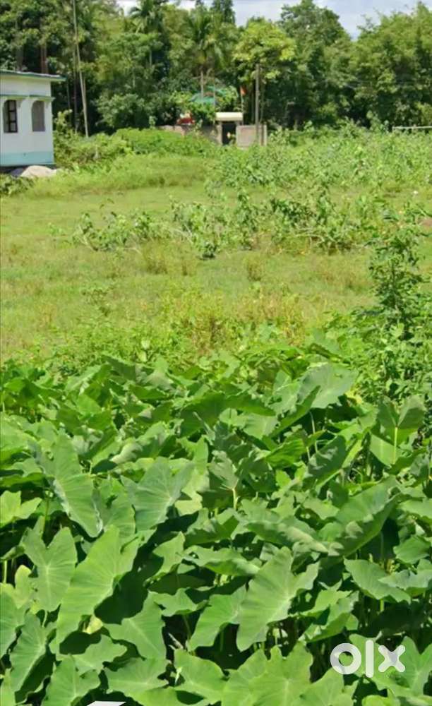 3 katha registry land just 700000/- per katha