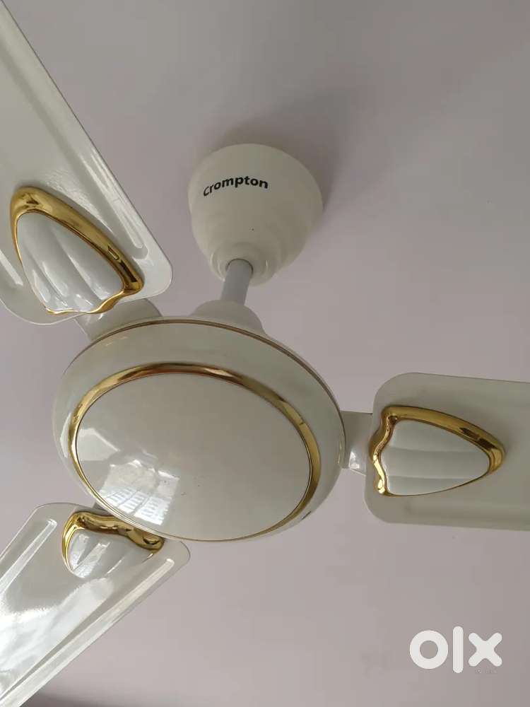 Crompton Celing Fan