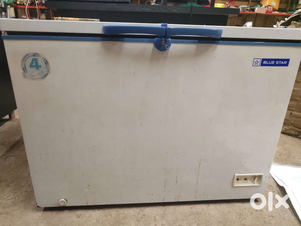 Ice cream fridge Blue Star network 45 kgs Blue Star company 4
