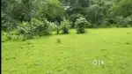 16LAKHS/ACRE-50ACRES AGRICULTURE LAND FOR SALE IN SARALGAON  MURBAD
