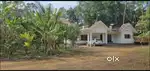 പൈങ്ങോട്ടൂർ ഭാഗത്ത് 25 cent 3bhk വീട് വിൽപ്പനയ്ക്ക