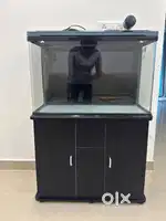 Fancy Aquarium with storage unit for sell