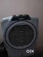 3 year old coolar