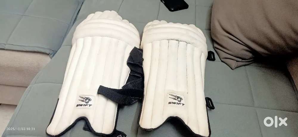 Zx cricket kit