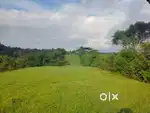 Land  for sale